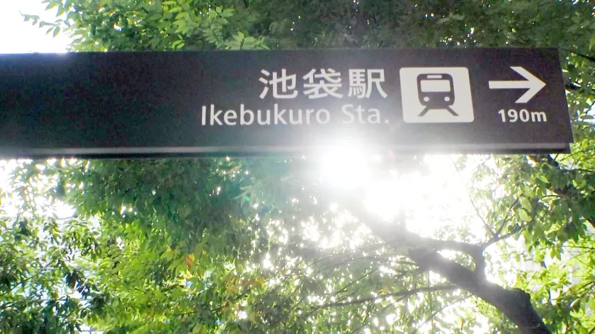 200GANA-2812(立華静音) 作品画像_3